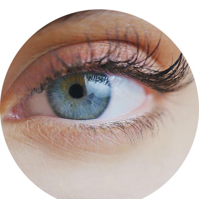 lasermed-augenlasern-auge-anatomie Lasermed Augenlasern - Die Nr 1 für Ihre Augen in Berlin