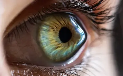 Welche Hornhauterkrankungen machen Augenlasern unmöglich?