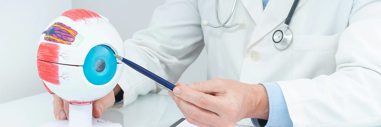 Augenarzt erklärt am Augenmodell die langfristige Haltbarkeit einer Augenlaser Behandlung.