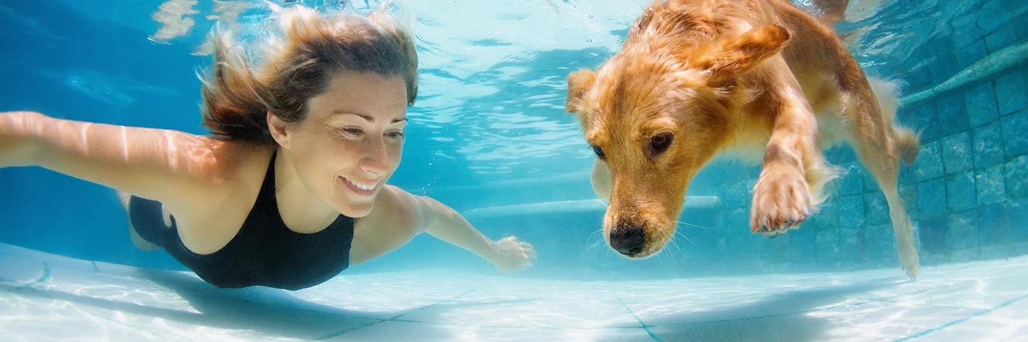 Frau schwimmt mit Hund unter Wasser – Hinweise zum Schwimmen mit Kontaktlinsen.